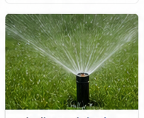 Arrosage et entretien léger de jardin à Québec